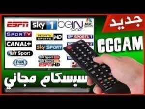 افضل موقع سيرفرات cccam مجانية