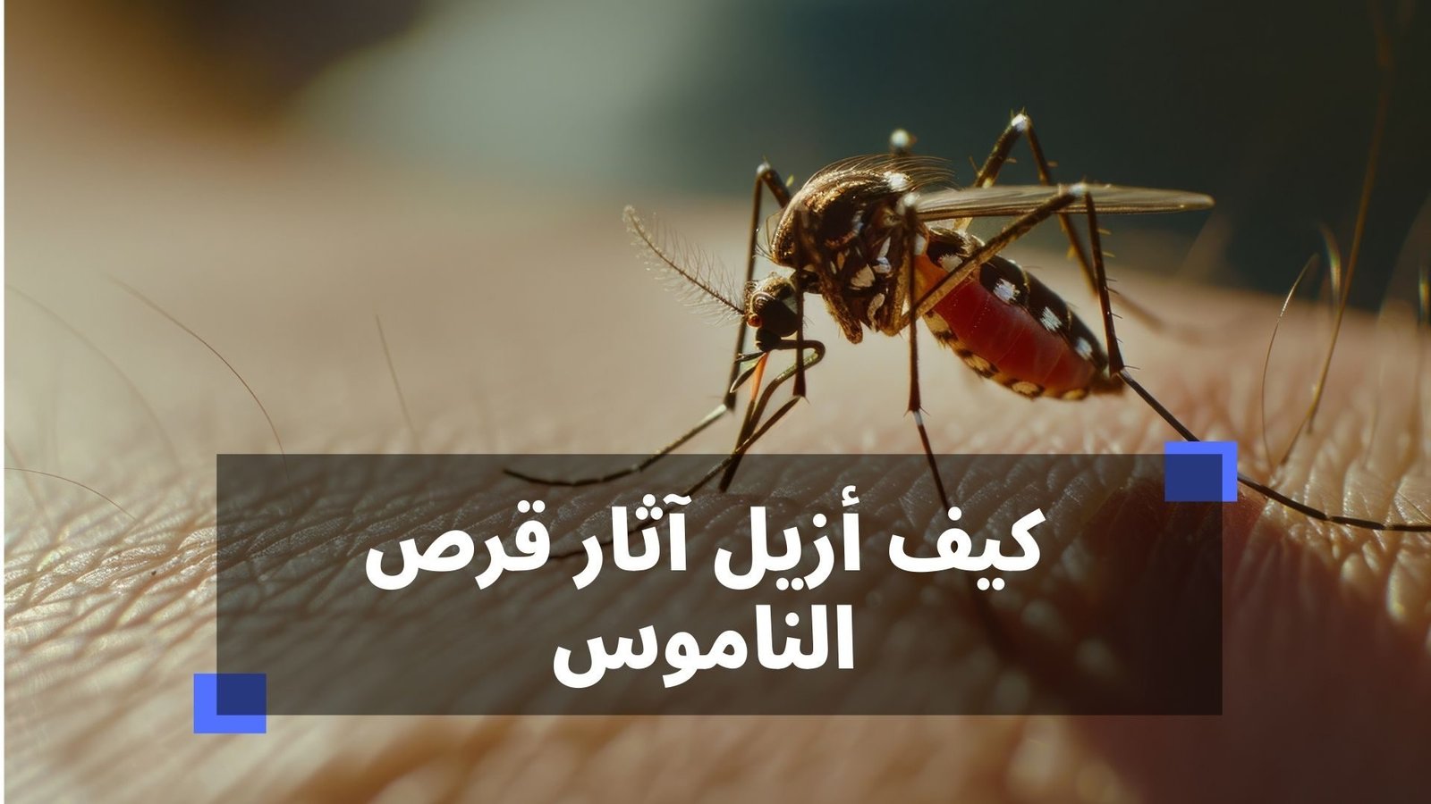 كيف ازيل اثار قرص الناموس
