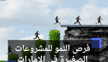 فرص النمو للمشروعات الصغيرة في الإمارات