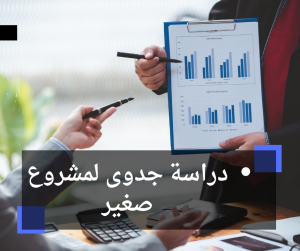 دراسة جدوى لمشروع صغير