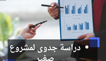 دراسة جدوى لمشروع صغير