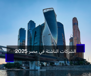 الشركات الناشئة في مصر 2025