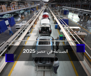 الصناعة في مصر 2025