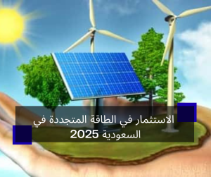 الاستثمار في الطاقة المتجددة في السعودية 2025