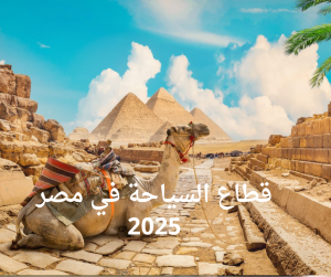 قطاع السياحة في مصر 2025