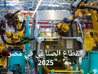 القطاع الصناعي في مصر 2025