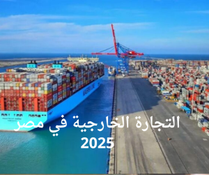 التجارة الخارجية في مصر 2025