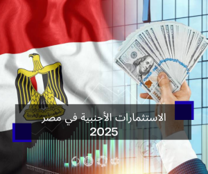 الاستثمارات الأجنبية في مصر 2025