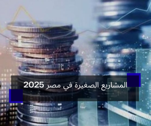 المشاريع الصغيرة في مصر 2025