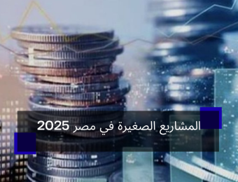 المشاريع الصغيرة في مصر 2025