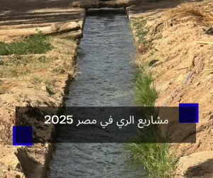 مشاريع الري في مصر 2025