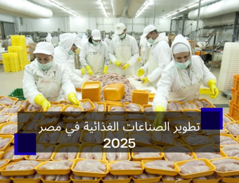 تطوير الصناعات الغذائية في مصر 2025