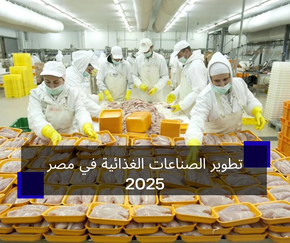 تطوير الصناعات الغذائية في مصر 2025