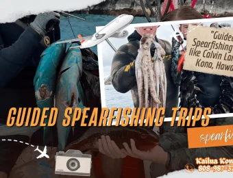 guided spearfishing trips