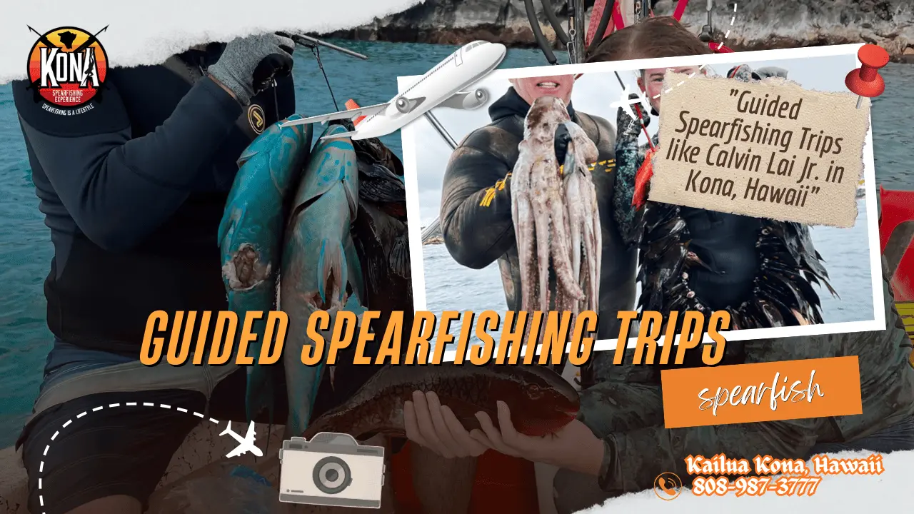 guided spearfishing trips