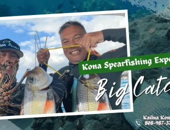 Kona Spearfishing Experience