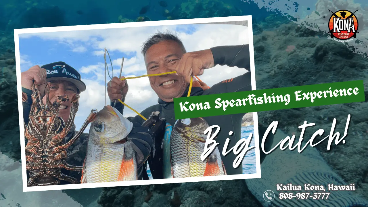 Kona Spearfishing Experience